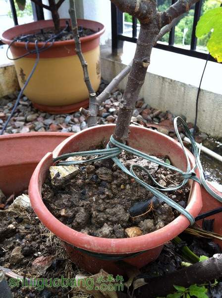 Ƭ20120216 821.jpg