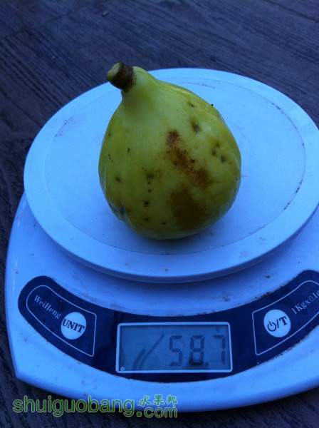 Ƭ20120216 800.jpg