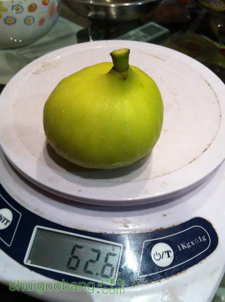 Ƭ20120216 818.jpg