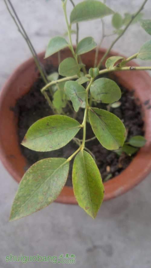 2012-06-27-014.jpg