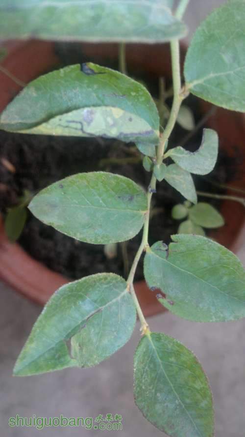 2012-06-27-017.jpg