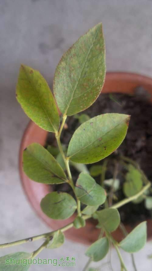 2012-06-27-018.jpg