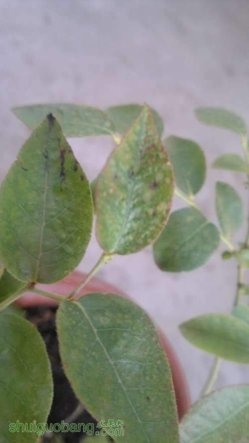 2012-06-27-023.jpg