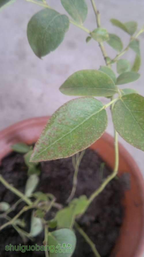 2012-06-27-024.jpg