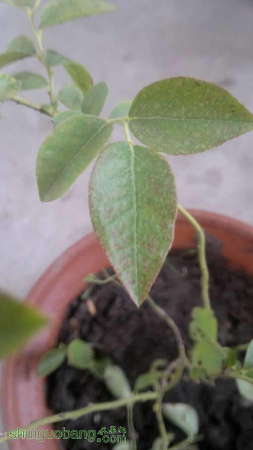 2012-06-27-025.jpg