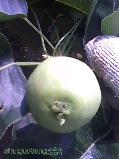 IMG0617111300.jpg