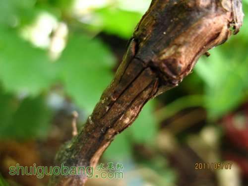 2011-5-7A09 2.jpg