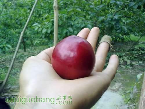 20120630234.jpg