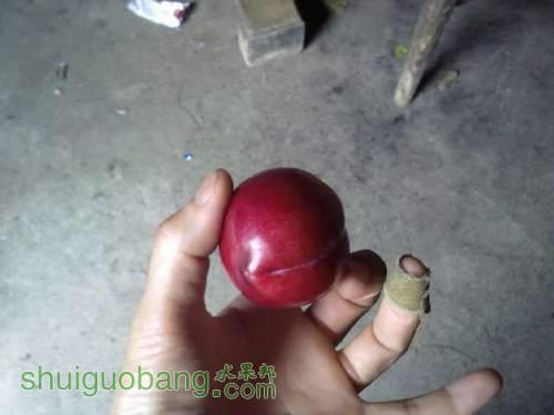20120630236.jpg