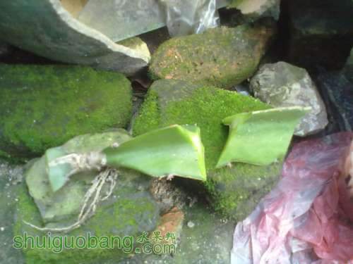 201206261275.jpg