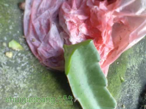 201206261276.jpg