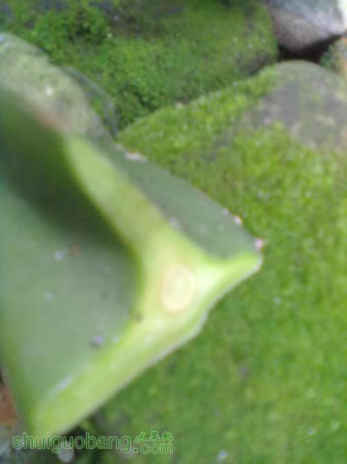 201206261277.jpg