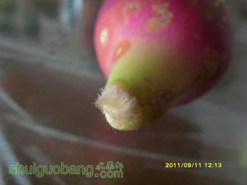 С С SI857348.JPG
