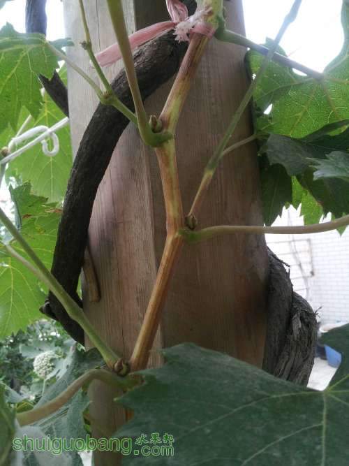 20120627_181013.jpg