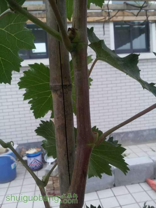 20120627_181107.jpg