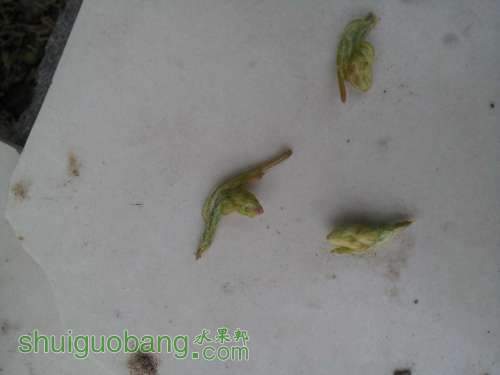20120629_180618.jpg