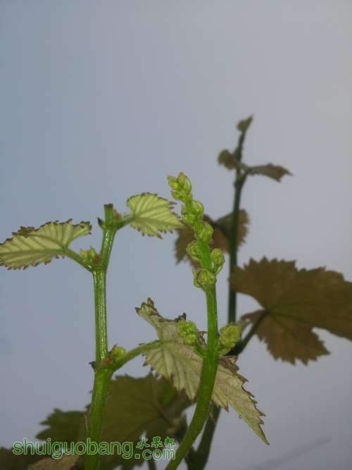 20120703_061114.jpg