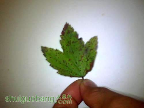 ͼƬ 005.jpg