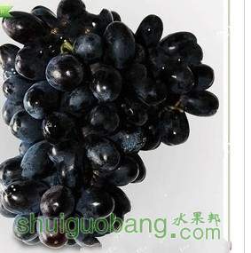 T1jUiCXk83XXaeZJs._081640.jpg_310x310.jpg