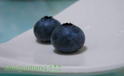 DSCN3725.jpg