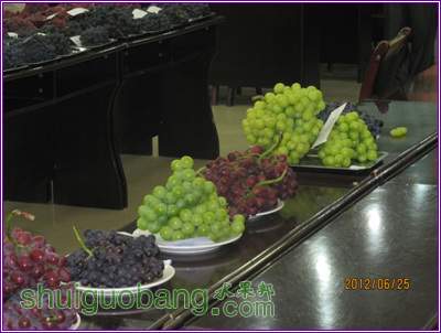 Ƭ 026.jpg