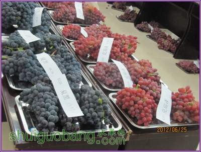 Ƭ 099.jpg