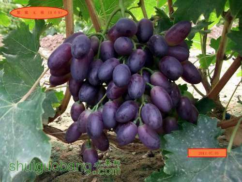 ������С DSCF2322.jpg