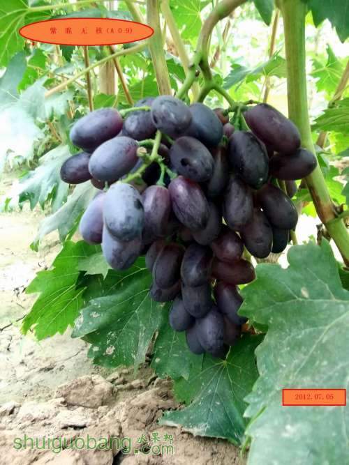 ������С DSCF2324.jpg