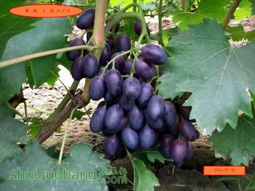 ������С DSCF2328.jpg
