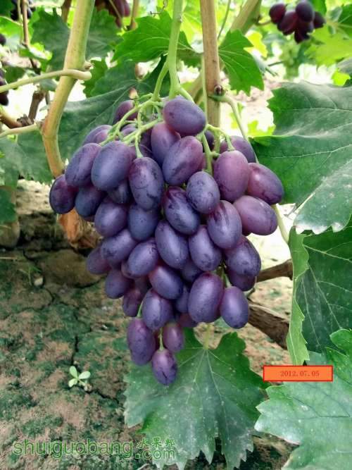 ������С DSCF2329.jpg