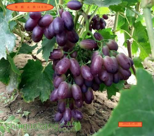 ������С DSCF2343.jpg