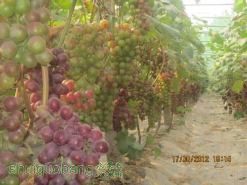 2012 001.jpg