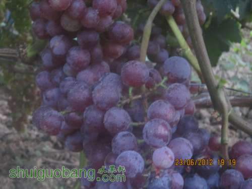 ԱЧ 016.jpg