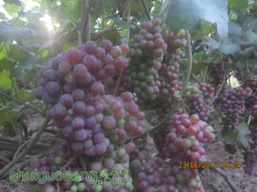 ԱЧ 018.jpg