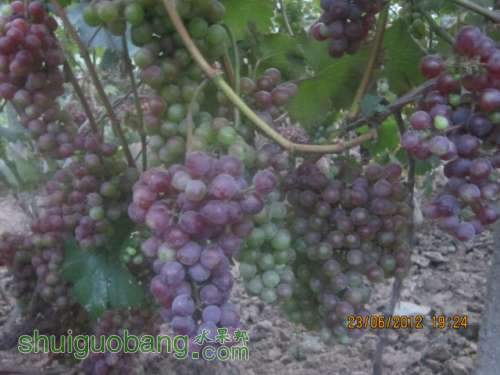 ԱЧ 019.jpg