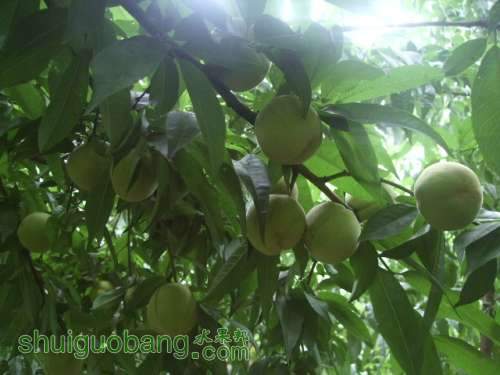2012.758ƷӼ֮ 006.jpg