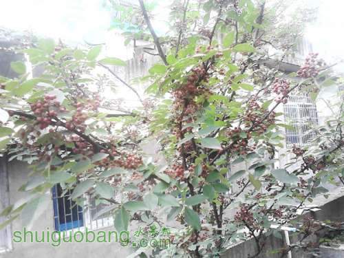IMG_20120710_142019.jpg