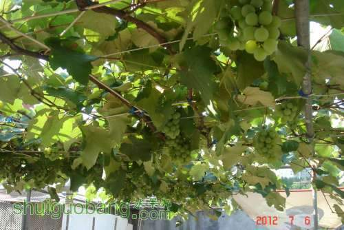 DSC01232.JPG