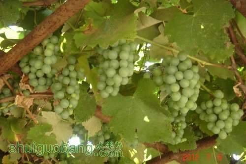 DSC01260.JPG