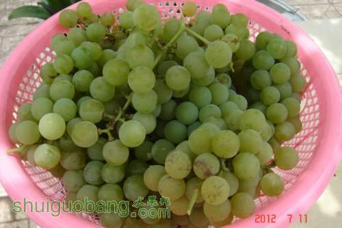 DSC01289.JPG