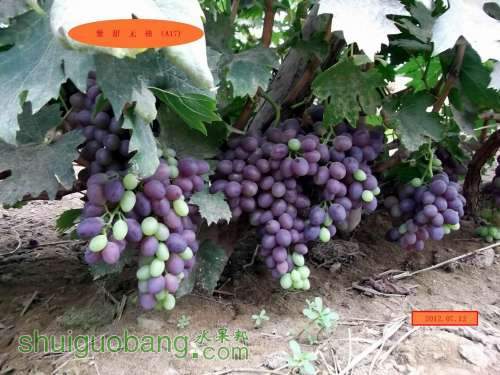 С DSCF2418.jpg