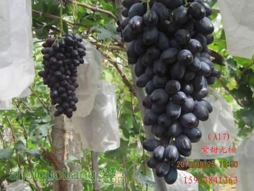 С ޺2010.09.25 040.jpg