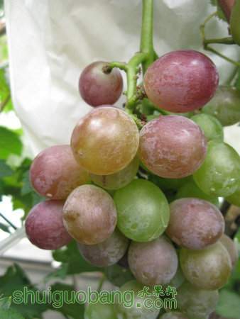 IMG_1020.JPG