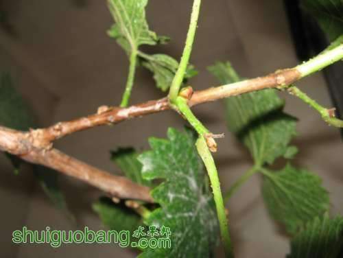093424zjc9n2bcvmxxuzbb.jpg