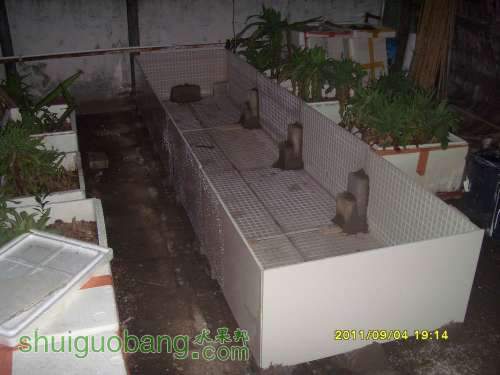 С SI857096.JPG