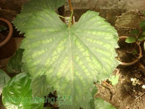 IMG_20120718_133602.jpg