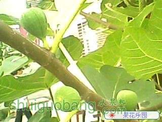 54_8635_9f0c0148803fe66.jpg