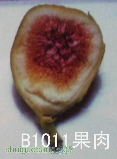 2007729203228881.jpg
