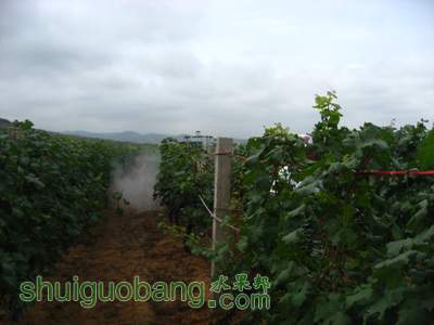 IMG_4379.jpg