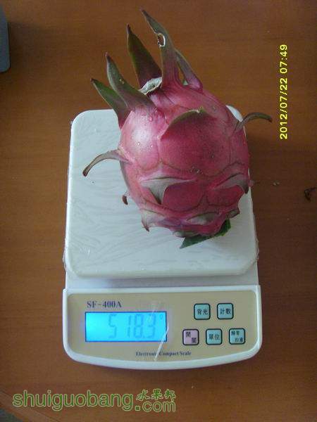 С SI856229.JPG
